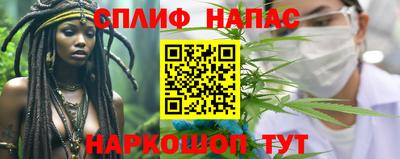прущие грибы Будённовск