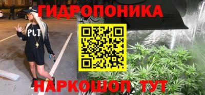 PSILOCYBIN Бугуруслан