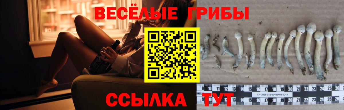 Рыбинск  Псилоцибиновые грибы MAGIC MUSHROOMS  Вход с VPN  Псилоцибиновые грибы прущие грибы 